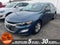 2024 Chevrolet Malibu FL